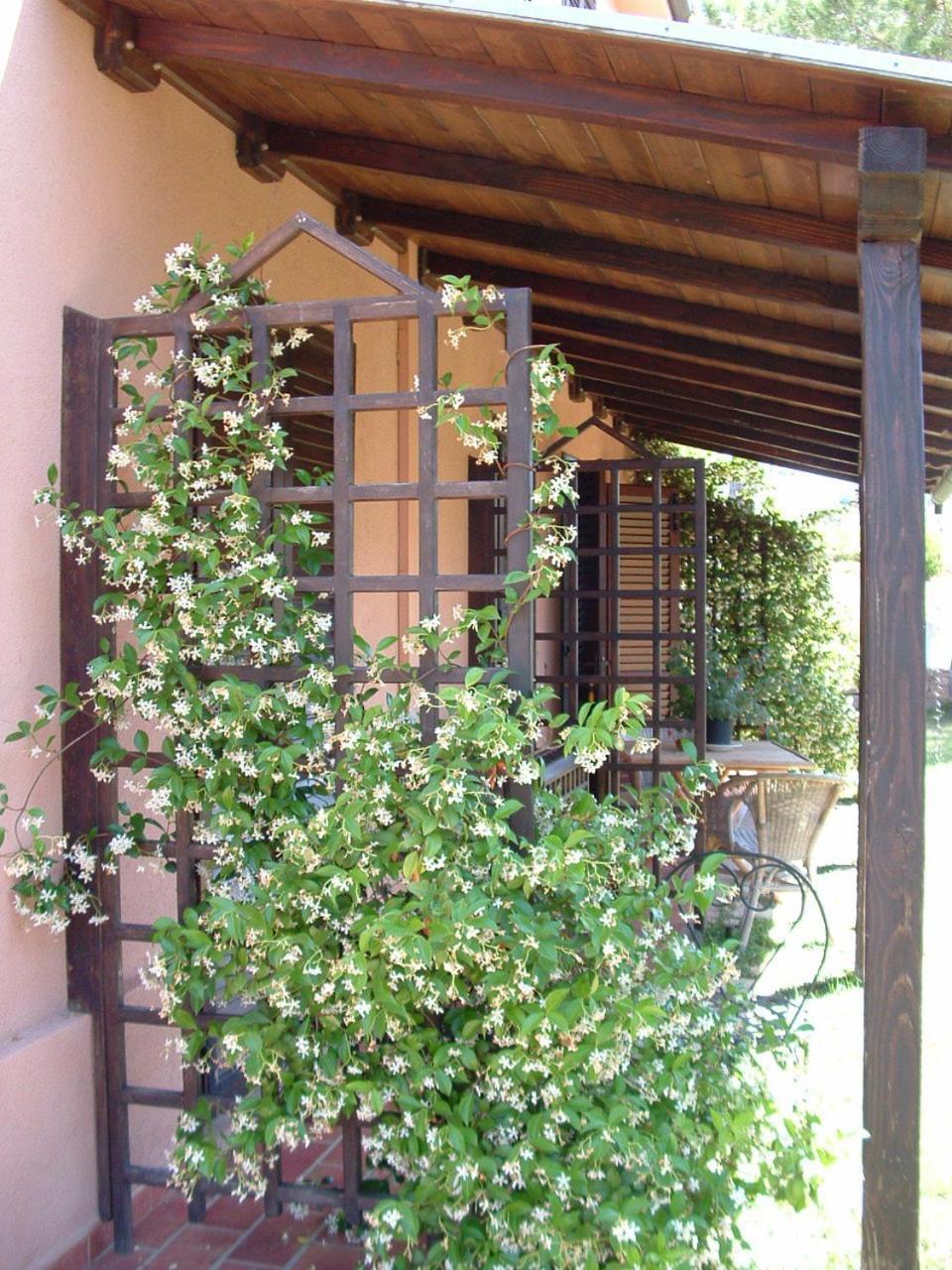 Agriturismo Pian Dei Pini Монтиано Екстериор снимка
