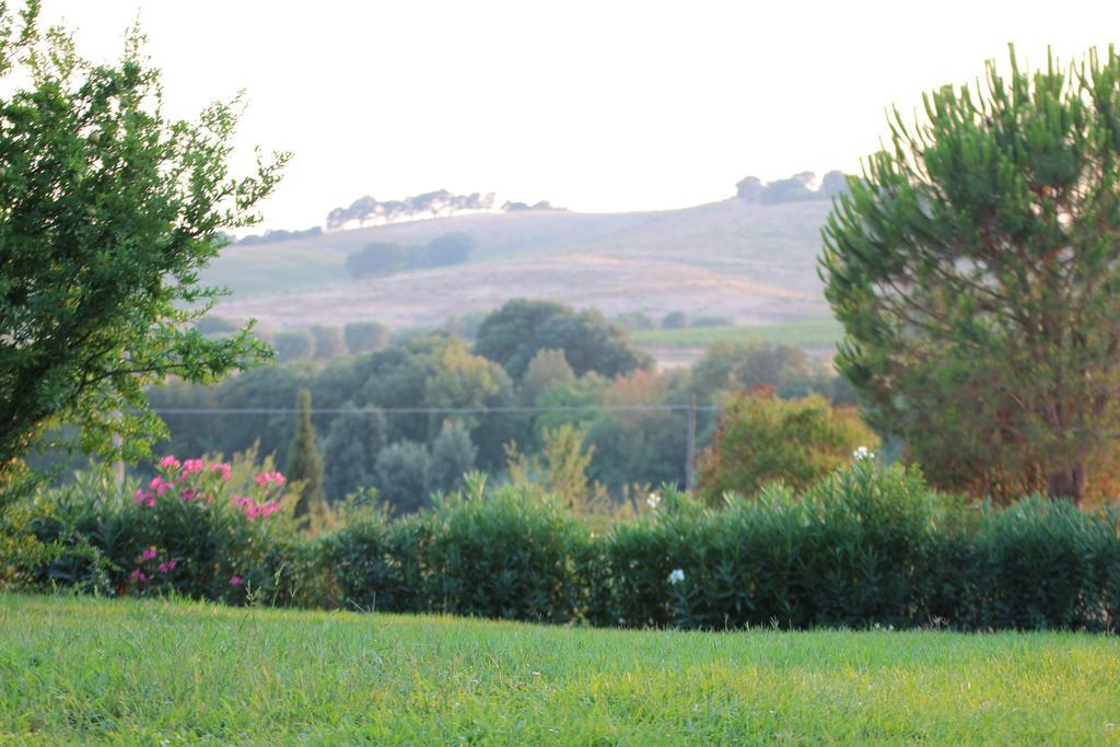Agriturismo Pian Dei Pini Монтиано Екстериор снимка