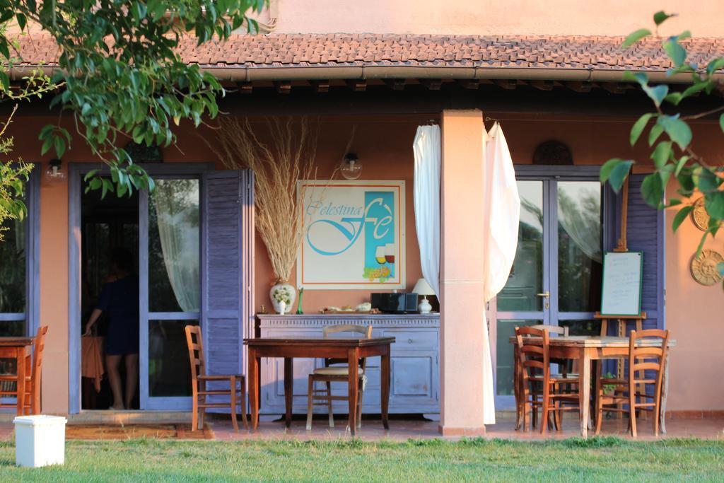 Agriturismo Pian Dei Pini Монтиано Екстериор снимка